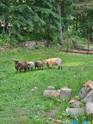 Top Polanica-Zdrój Top Polanica-Zdrój