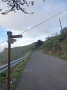 Top Vega de San Mateo