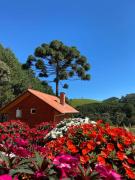 Top Monte Verde