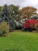 Top Saint-Martin-Saint-Firmin