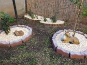 Top Catania Top Catania