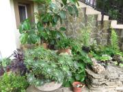 Top Hévíz Top Hévíz