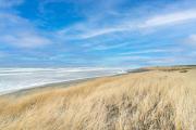 Top Westport
