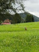 Top Eggersriet Top Eggersriet