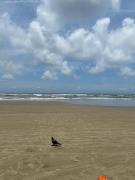 Top Praia Grande