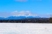 Top Millinocket