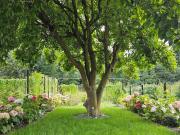 Top Quiévrechain Top Quiévrechain