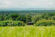Top Kelsall