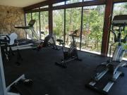 Estudio completo en la selva