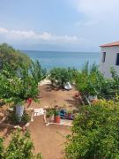 Top Petalidhion Top Petalidhion