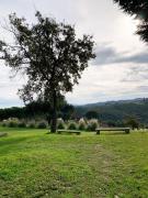 Top Ferreira do Zêzere