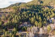 Top Woodland Park