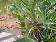 Top Villanova di Ostuni