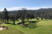 Top Groveland