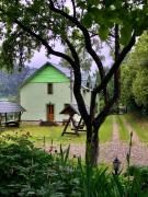 Top Mykulychyn