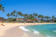 Top Koloa