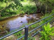 Top San Martín del Pimpollar