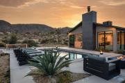 Top Joshua Tree