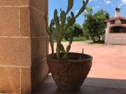 Sunset Lovers Gallipoli Appartamento in villetta a 300mt dal mare Sunset Lovers Gallipoli Appartamento in villetta a 300mt dal mare