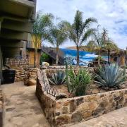 Top Buena Vista Top Buena Vista