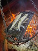 Top Babki Oleckie Top Babki Oleckie