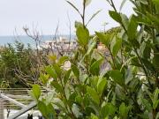 Top Saint-Quay-Portrieux