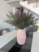 Top Dorgali Top Dorgali