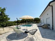 Top Aragona Top Aragona