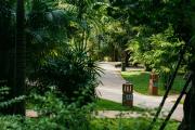 Top Siem Reap