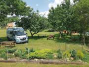 Top Choustníkovo Hradiště