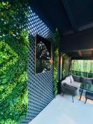 Top Braşov Top Braşov