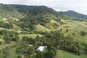 Top Lambs Valley