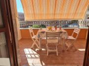 Le Pavoncelle di Adefede Le Pavoncelle di Adefede