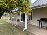 Orange Tree Cottage