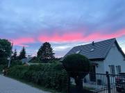 Dzika Foka Wiosłowa 49 Dzika Foka Wiosłowa 49