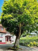 FEWO Unterm Stein - Schneewittchen - 2 Schlafzimmer