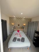 Top Chasse-sur-Rhône