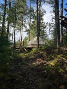 Top Svanhult