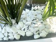 Top Argenton-sur-Creuse