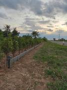 ทุ่งนาแคมป์ปิ้ง Countryside