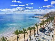 Top Torrevieja