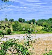 Top Margouët-Meymès