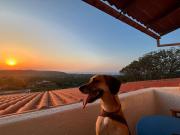 Selena Seaview Villa