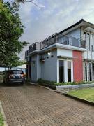 Top Palang