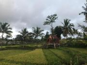 Eger Rise Terrace Bungalow