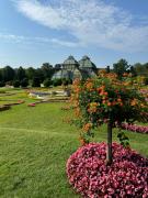 City Apartment nahe Schönbrunn 13