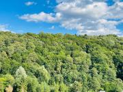 Top Solina Top Solina