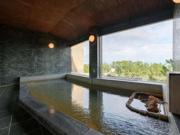 Hotel Tetra Resort Shizuoka Yaizu - Vacation STAY 35243v