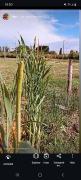 Top Carmen de Areco