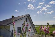 Top Klein Zicker